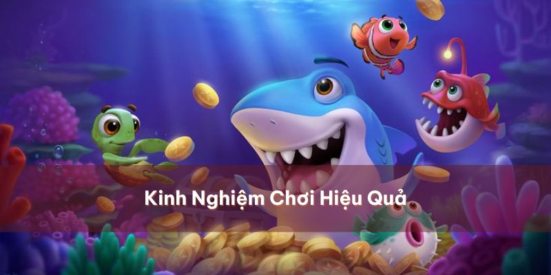 Mẹo chơi chinh phục ngư trường rộng lớn 