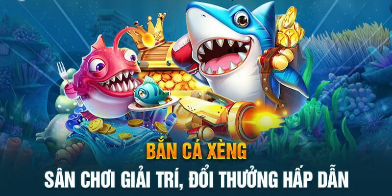 Tham gia phiêu lưu săn cá với ba chiến thuật tuyệt vời