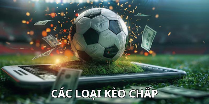 Khám phá một số loại sản phẩm cực hấp dẫn